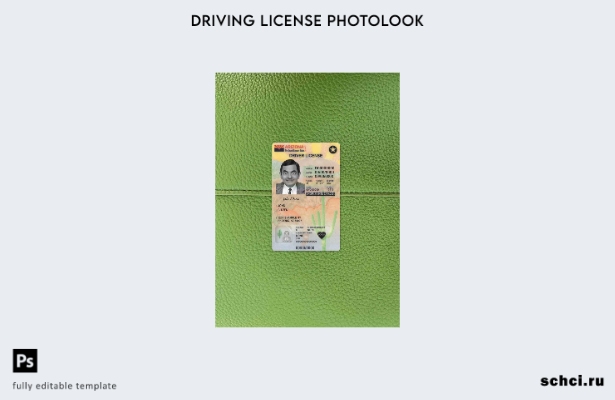 цифровая загрузка водительских прав США в Аризоне под версией шаблона Photolook 